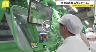 Успешный опыт внедрения элементов геймификации в рабочий процесс