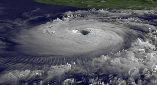 Hell's frying pan: The planet is covered by a "Super" El Niño, ready to repeat the nightmare of the 19th century (photo)
