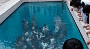 Грязные бассейны, обгоревшие ученики: жесткие школьные правила в Японии (6 фото)