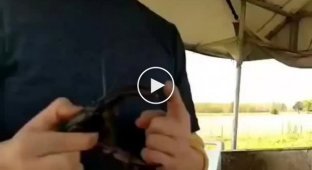 Странные увлеченья у мальчика