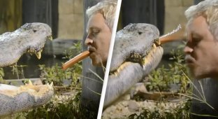 Бесстрашный мужчина кормит рептилий хот-догами изо рта с завязанными глазами (5 фото + 2 видео)