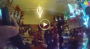 A female deer got stuck in a chair in a gift shop