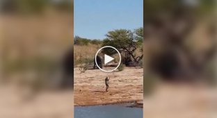 A man stopped a charging elephant with an unexpected gesture
