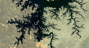 Фрактальні візерунки на поверхні Землі (18 фото)