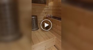 Сфінкси відпочивають у фінській сауні