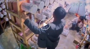 Неосторожный мужчина случайно выпустил насекомых