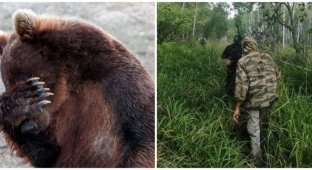 83-летняя россиянка сутки кричала и рычала из трясины на медведя (1 фото + 1 видео)