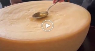 Cooking pasta on a wheel of parmesan