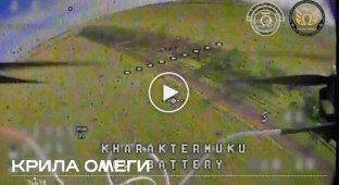 Крила Омеги уничтожили гаубицу Д-30 и ликвидировали личный состав врага в местах скопления
