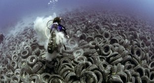 What happened to 2 million tires after 48 years in the ocean? Or a failed experiment with an artificial reef Osborne (9 photos)