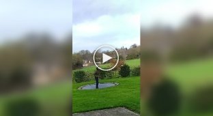 A guy fell into a hole while trying to teach a dog to jump on a trampoline