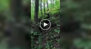 Какая любопытная дыра в земле