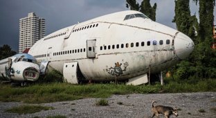 Жизнь на кладбище самолетов (13 фото)