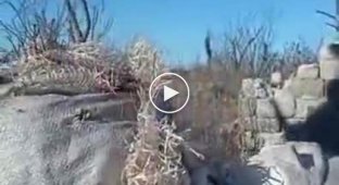 Российский солдатик ноет о том, что украинская артиллерия вспахала его опорный пункт