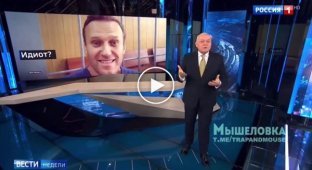 Телевидение про Алексея Навального