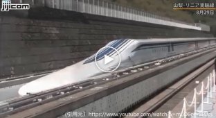 Скоростные поезда Японии приходят вовремя и без опоздания. Это фантастика