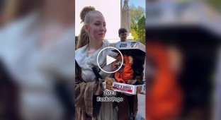 Parade of cosplay dogs in New York
