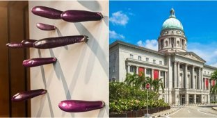 200 баклажанов, 1 инсталляция и 0 совести (4 фото)