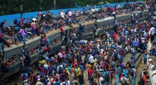 Так выглядит общественный транспорт в Бангладеш во время сезонной миграции (12 фото)