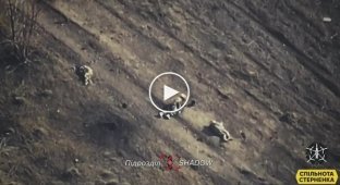 Удар дроном-камикадзе по группе оккупантов на Авдеевском направлении