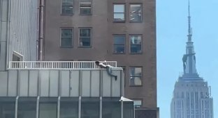 “People were panicking”: a hysterical man began throwing things from the roof of a skyscraper (3 photos + 1 video)