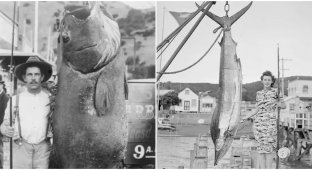 30 retro photos of fishermen with big catches (31 photos)