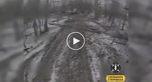 Drone operators of the 156th troop transport battalion destroyed three golf carts and a katsapovozka in the Kursk region