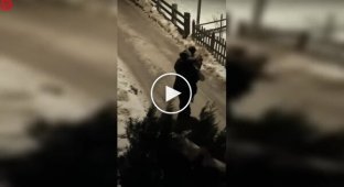 True male friendship