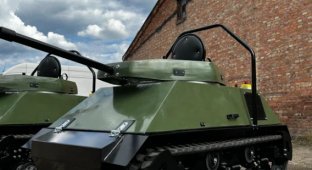 Новое развлечение для большой компании (4 фото)