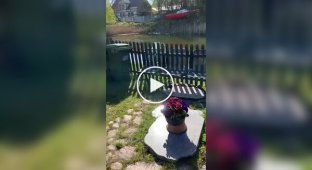 Обычная польская дача
