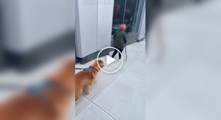 Хороший мальчик едва не перешел на темную сторону