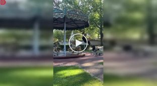 Девушка использовала карусель не по назначению