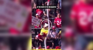 Болельщики на трибуне соорудили огромную змейку из пустых стаканов