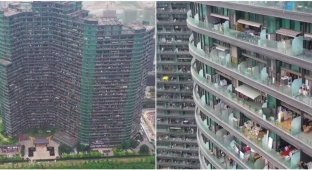 Китайский "человейник", в котором может проживать около 20 тысяч человек (12 фото + 1 видео)