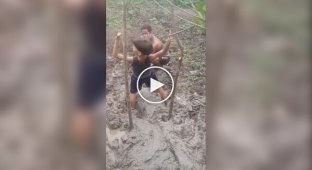 Маленькая шалость