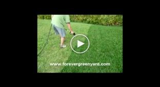 Как сделать траву зеленее