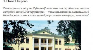 Резиденции и дворцы Путина (27 фото)