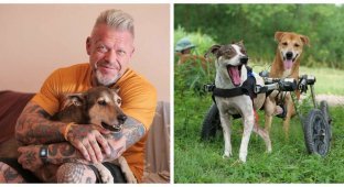 The chef found his true calling while rescuing dogs in Thailand (18 photos + 1 video)