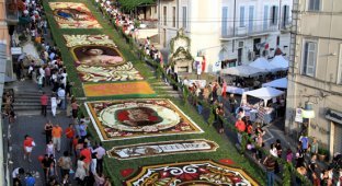 Фестиваль цветов в Гензано (11 фотографий)