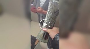 Ваза для самого красивого и милого цветка