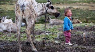 Монголия и жизнь детей (10 фото)