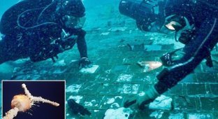Divers found part of the exploded "Challenger" (10 photos + 2 videos)