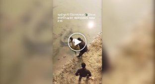 Мужчины разбудили крокодила, потянув его за хвост