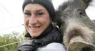 A court allowed a woman to keep a wild boar: the animal was threatened with euthanasia or starvation (4 photos + 1 video)