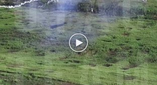 Одне з найкращих відео роботи наших вертольотів