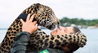 Soldiers rescued a drowning jaguar