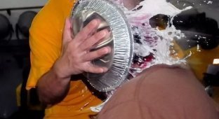 Подборка фотографий, сделанных в самый подходящий момент (25 фото)