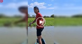 Один момент — і відпочинок на воді вже не здається безпечним