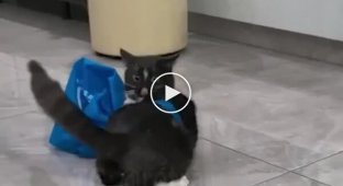 Ніхто не повинен знати твій наступний крок. Навіть ти сам