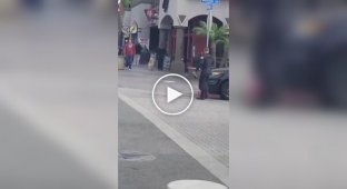 Чітка робота американського поліцейського потрапила на відео